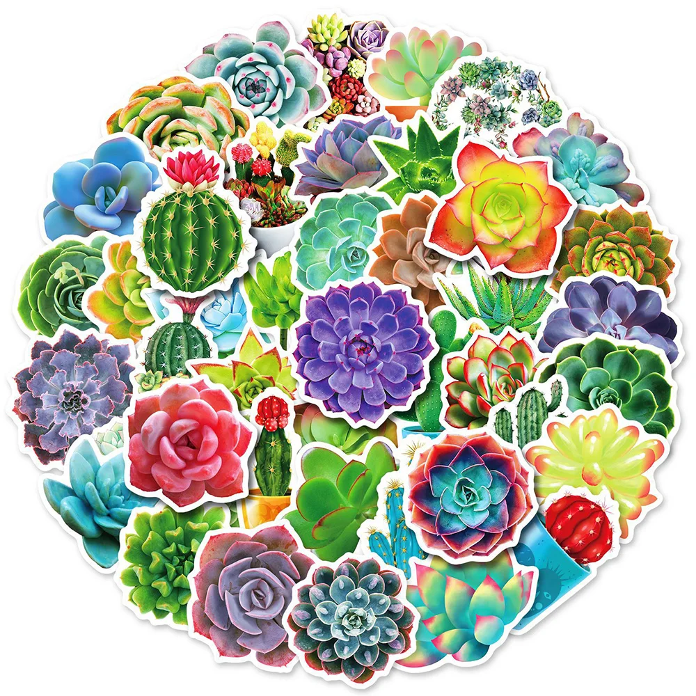 10/30/50PCS Succulent Series Green Plants Sticker Motorcycle Travel Luggage Fridge Laptop Classic Toy Fun Sticker for Kids Gift