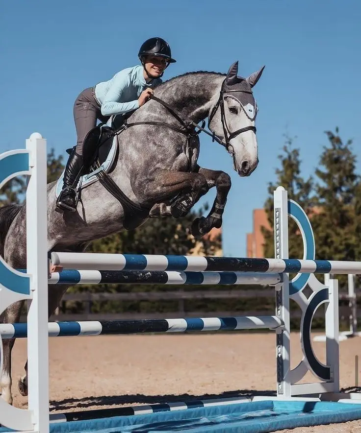 

Custom Customizable Durable Equestrian Show Jump Obstacles High Quality Horse Training PVC Poles Aluminum Horse Jumps