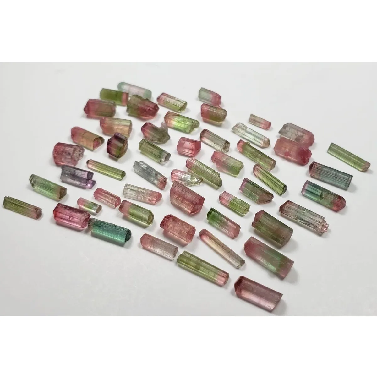 Brazilian Elbaite Gemstone Stones, 10g 5-15mm Colorful Raw Crystals, Display Box for Shelf Decor & Educational Specimens