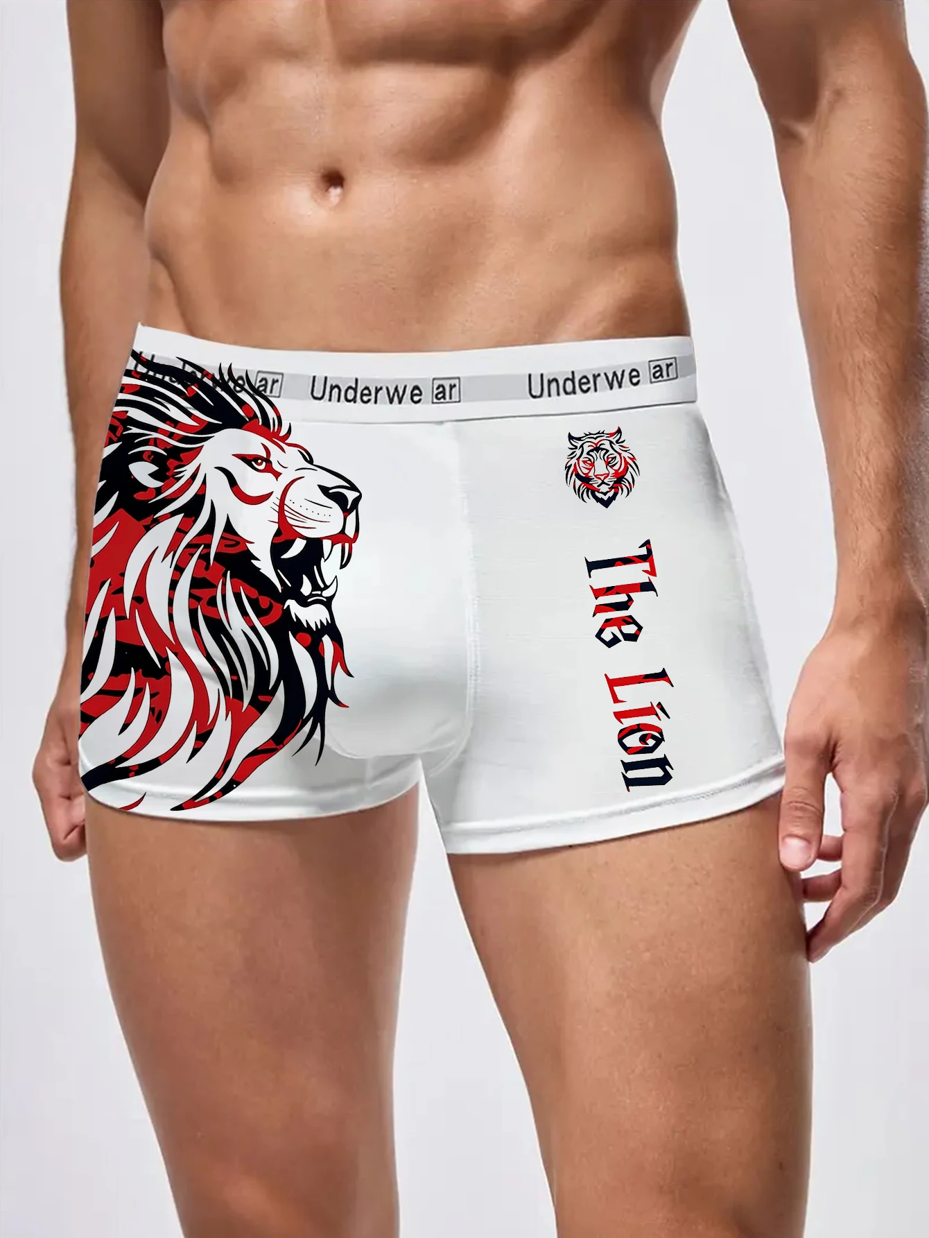 

Men's Boxer Briefs Colorful Animal Pattern Design with Lion Graphics, Stretchy and Supportive for Activity