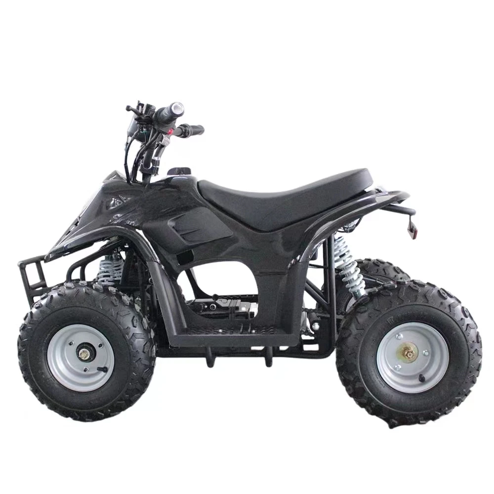 High Precision 800w Electric Atv Kids Quad Bike 800w Electric Quad Bike
