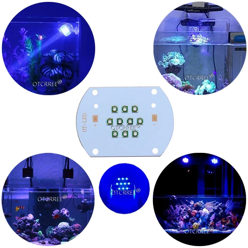Hydroponice 30W COB led grow light chip XPE Royal Blue 450nm Deep Red 660nm for Indoor Plant Seedling Grow and Flower