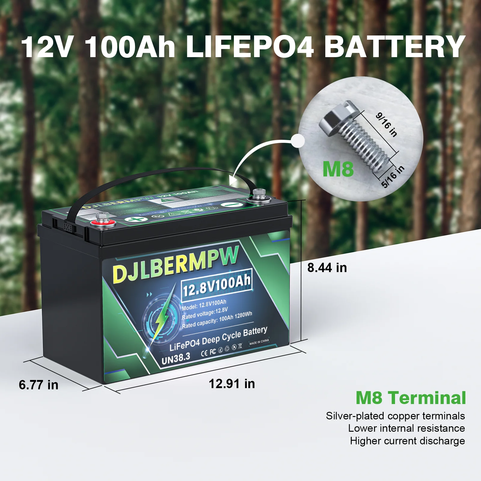 DJLBERMPW 12 فولت 100 أمبير LiFePO4 بطارية ليثيوم فوسفات الحديد في 100A BMS لمحرك التصيد البحري RV عربات الغولف الشمسية