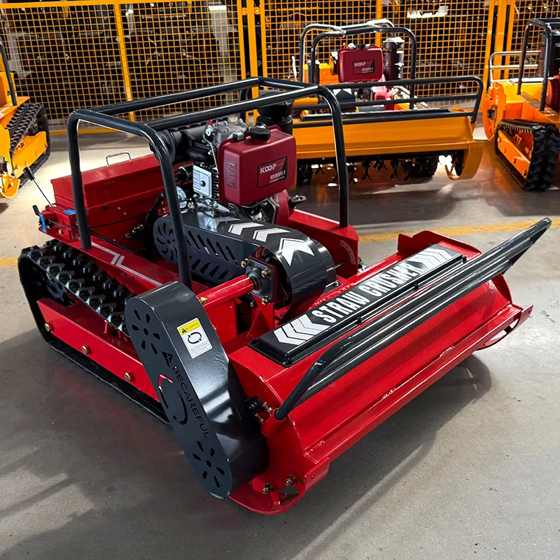 Maßgeschneiderter Raupen-Rasenmäher mit 4-Takt-Motor für den Hausgarten