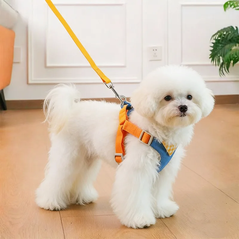 Thumbnail 3 - #4 Latest Puppy Harnesses Updates