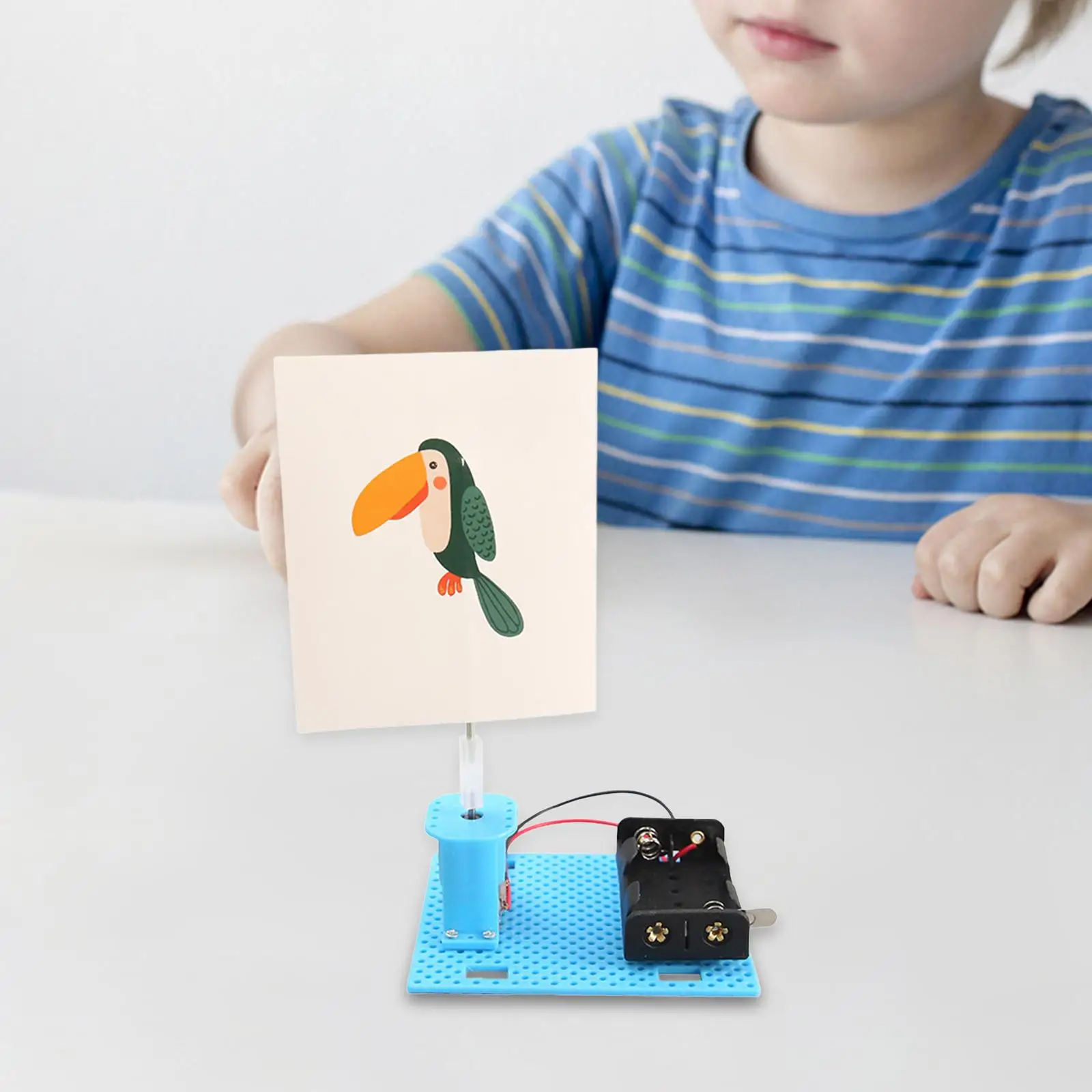 Educational Technology Training Toy Science Project Kits for Kids DIY Electric Cage Bird Material Set Teaching Aids Creative