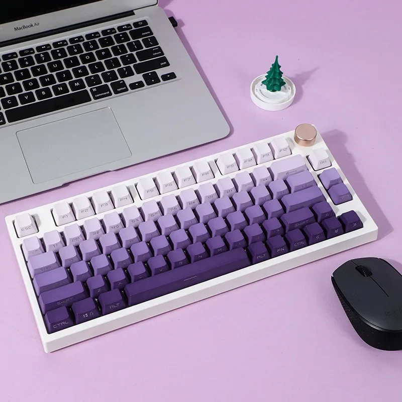 Lilac PBT keycaps  font transmits light OEM profile white  and purple gradient color keycap sets