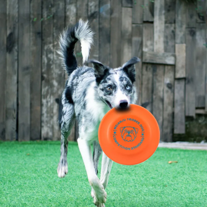 Bissfeste Weiche Hundeleiterscheibe Schwimmende Wasserwurfspielzeuge für Haustiere Interaktives Trainingsspielzeug für Welpen Kleine Mittlere Große Hunde – Detail 3