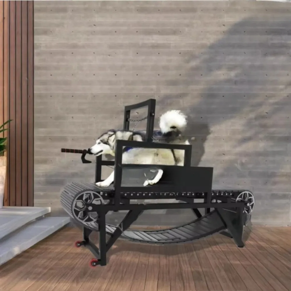 Professional folding dog treadmills for dogs Adjustable speed pet running motivation Rehabilitation and training equipment