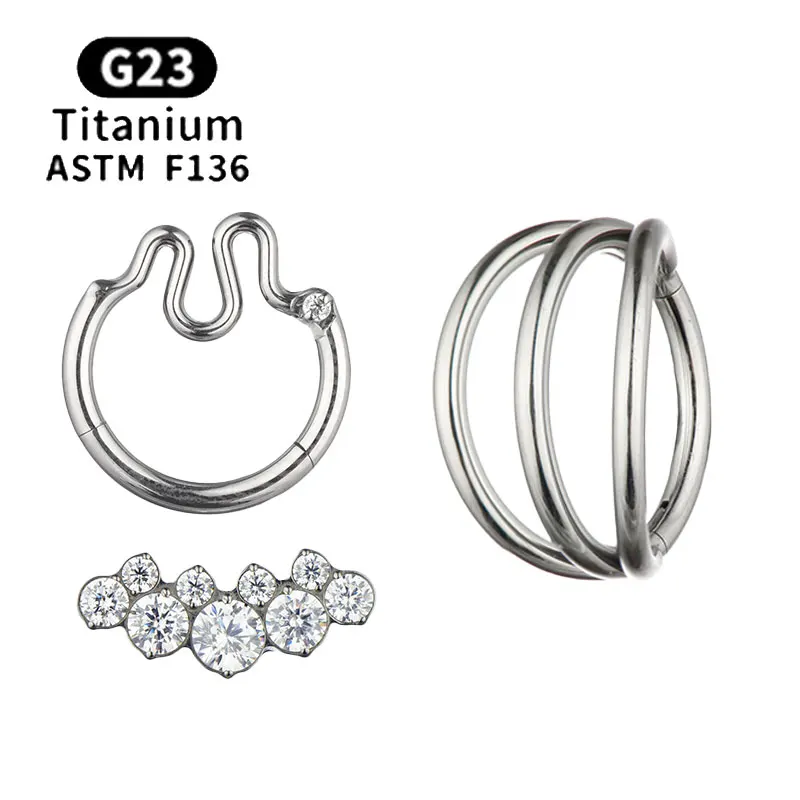 

G23 Titanium Nose Ring Clicker Ear Cartilage Tragus Helix Daith Round Earrings Hoops CZ 16G Hinged Segment Body Piercing Jewelry