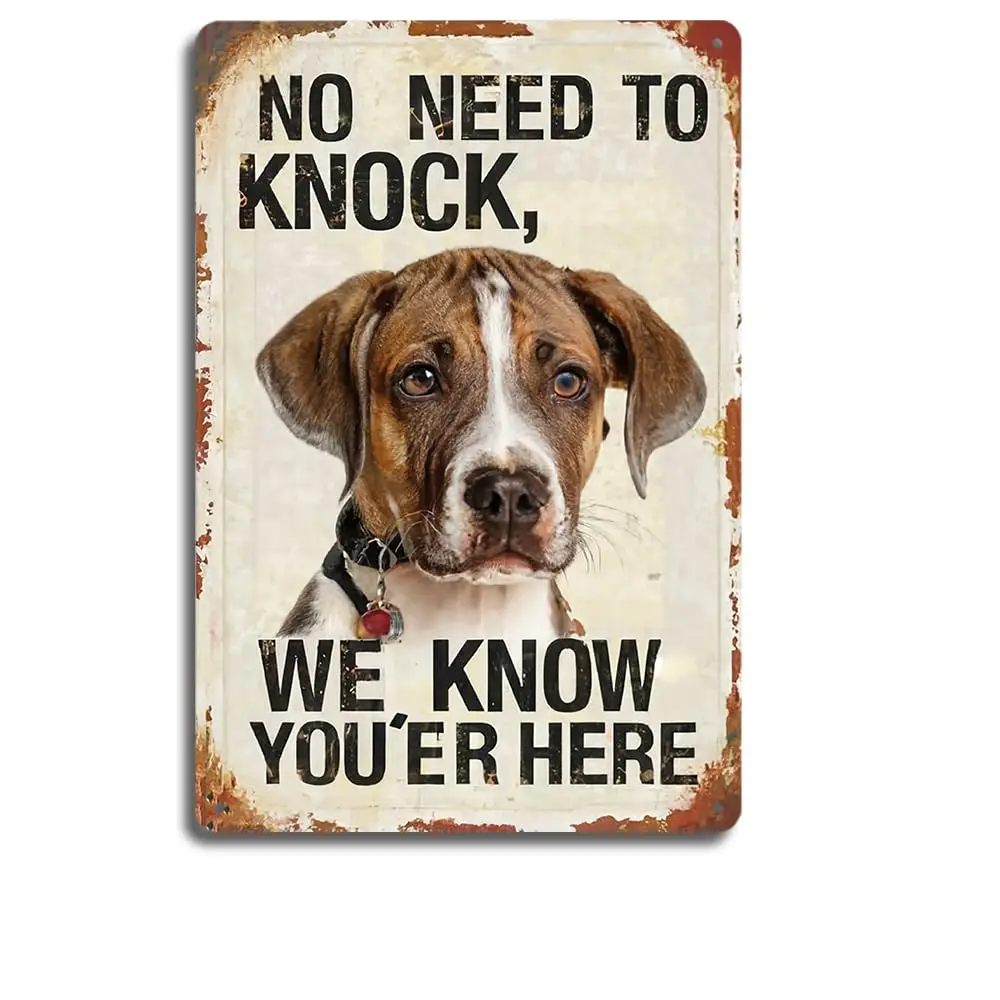 Rustic Dog-Themed Metal Tin Sign 12x8 inches - 'No Need to Knock, We Know You're Here' - Humorous Welcome Sign for D