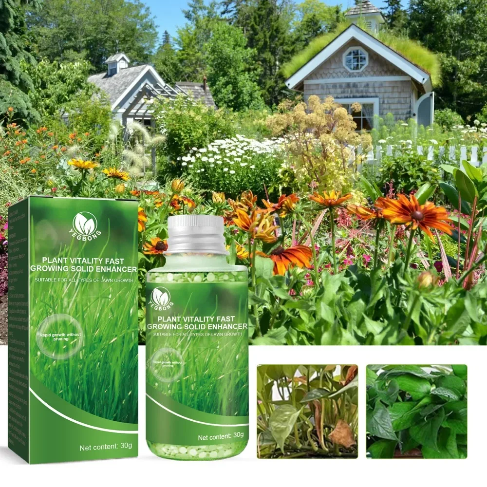 Yegbong plant nutrient plant fertilizer flower potted lawn green leaf root growth nutrient