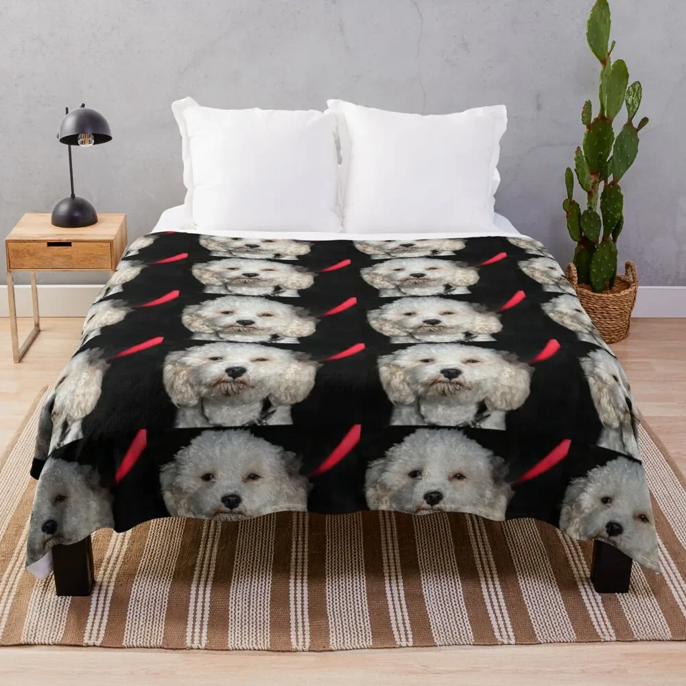 

Cavachon. Throw Blanket Kid'S Summer Beddings For Sofa Thin Furry Blankets