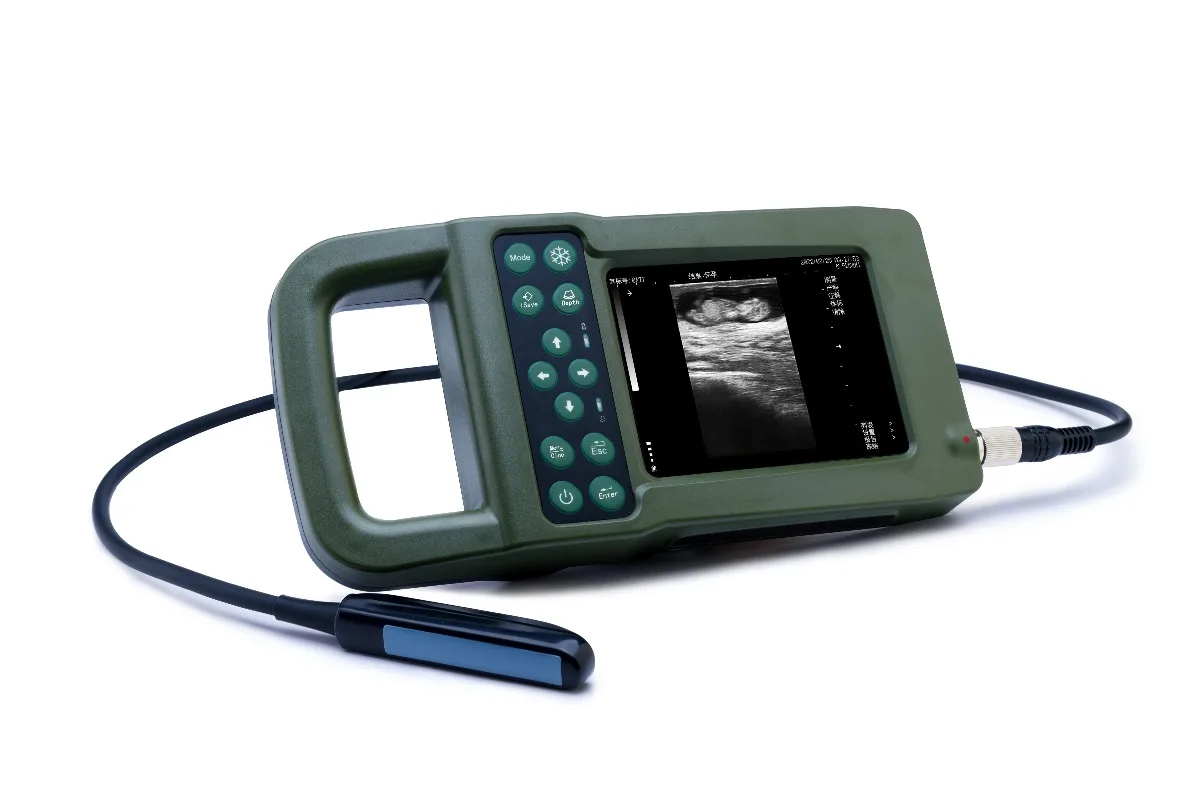 High quality Factory sale Medical digital Portable Ultrasound Scanner for vet animal use