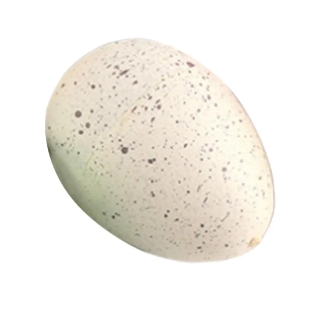 

Fantastic Magic Hatching Dino Egg Animal Growing Toy for Kids Creative Science Toy Project