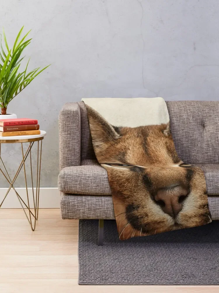 Caracal Cat Art, Savanna Animal Portrait Throw Blanket Luxury Designer Travel Polar Blankets