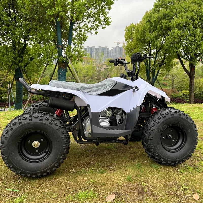 125cc 4-Stroke Automatic Chain Drive 2WD Four-wheeler All-terrain Beach Buggy Mountain ATV