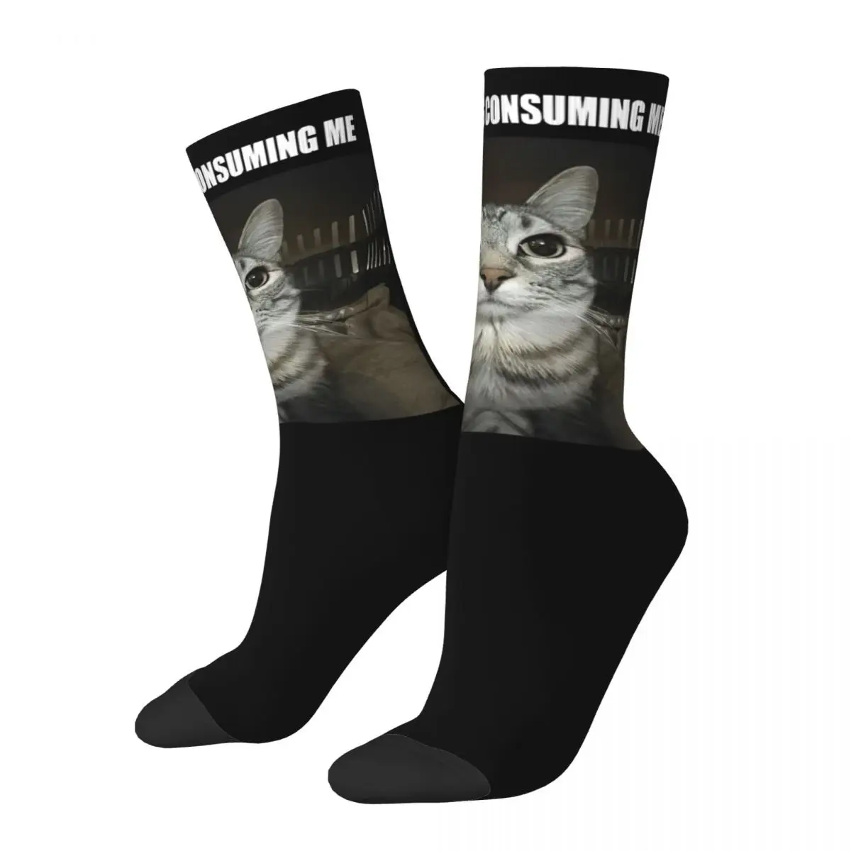 Rage Is Consuming Me Socks Men Women Casual Silly Staring Cat Meme Socks High Quality Spring Summer Autumn Winter Socks Gifts