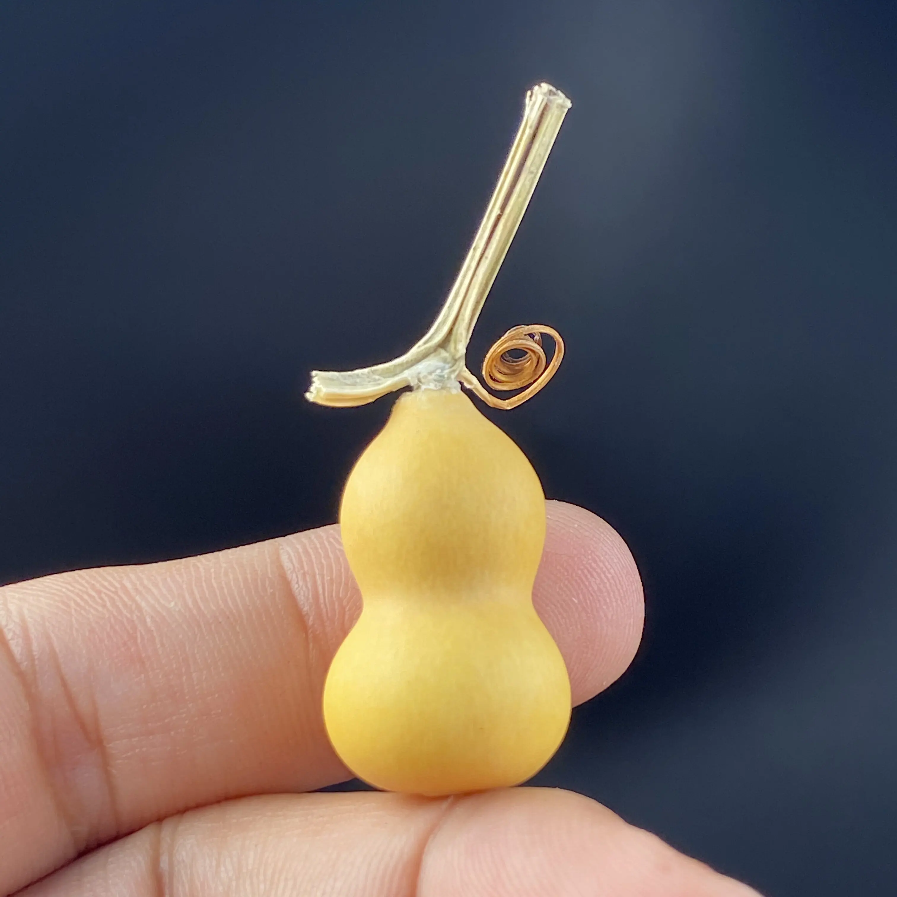 Mini Zucca Naturale a Forma di - Vintage Collectible Christmas Ornaments recensione e prezzo