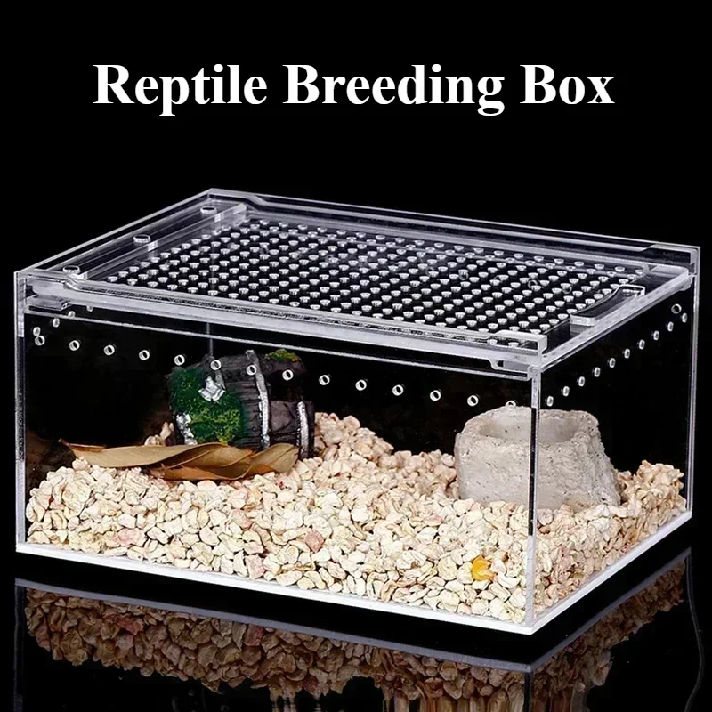 

Acrylic Reptile Breeding Box Transparent Spider Lizard Amphibian Habitat Leakproof Arboreal Wolf Spider Enclosure for Pets