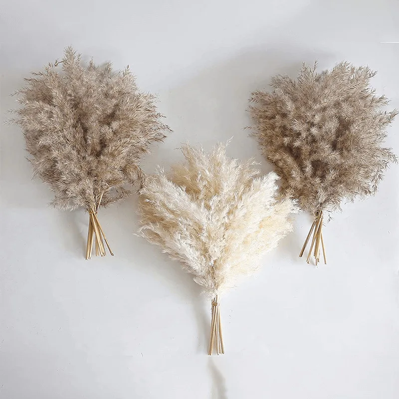 

30pcs Dried Flower Nature Fluffy Pampas Grass for Wedding Party Decoration Bunny Rabbit Tail Reeds Artificial Flowers Home Decor