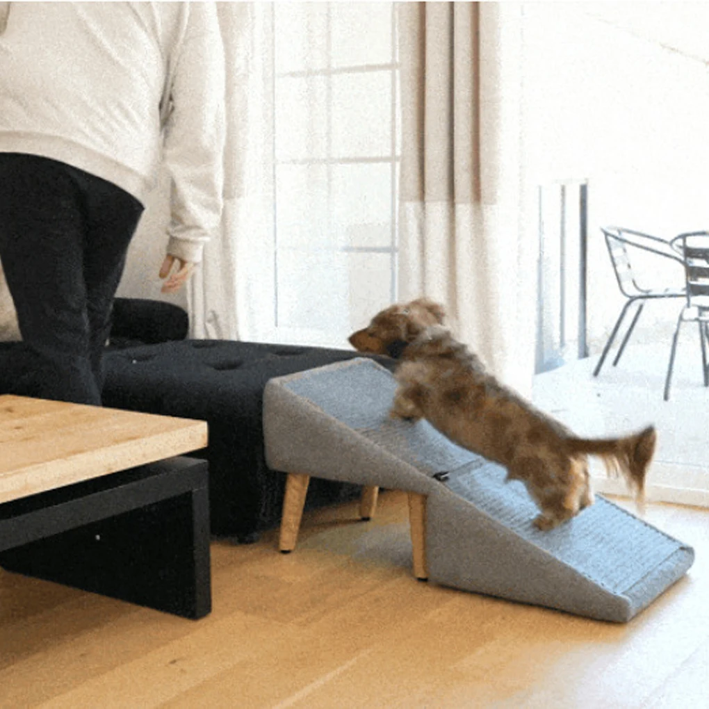 Thumbnail 3 - #13 Trending Puppy Ramps Right Now