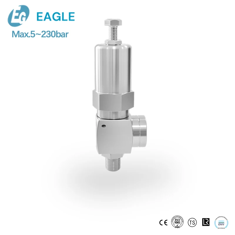 

Manufacturer Stainless Steel Safety Overflow Valve High Pressure Spring Safety Valve Direct-acting for Liquids BSPT