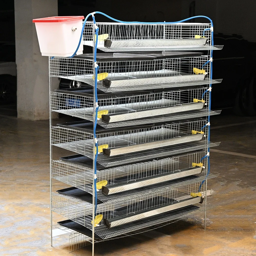 

New Poultry Cages Feeding Systems Quail Cage Feeding & Quail Feeding System for Birds