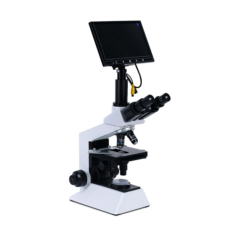 YSXWJ-CX80 High Quality Laboratory Device Microscope Veterinary Binocular Microscope