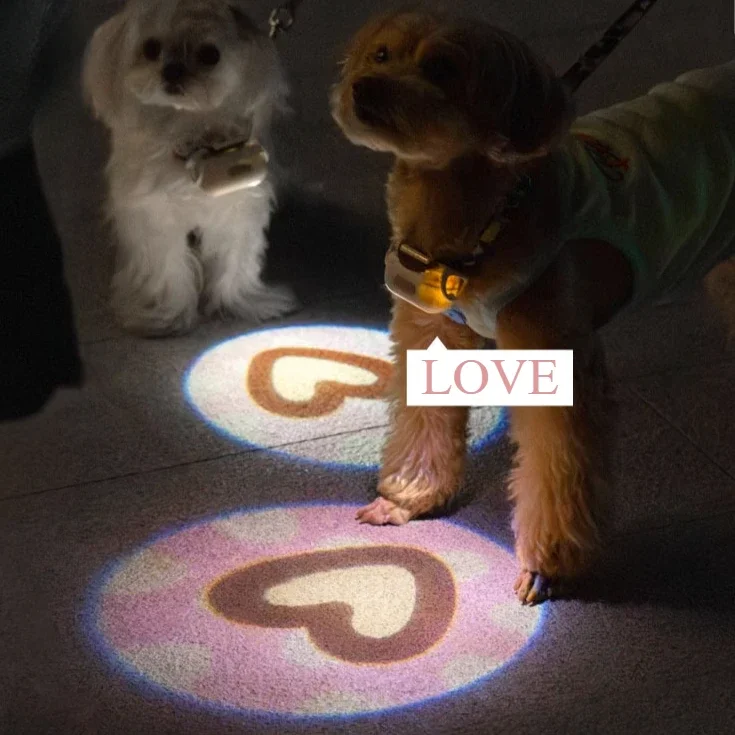 

Dog luminous collar dog collar anti-lost neck ring pet outdoor night lighting led projection light walking dog light