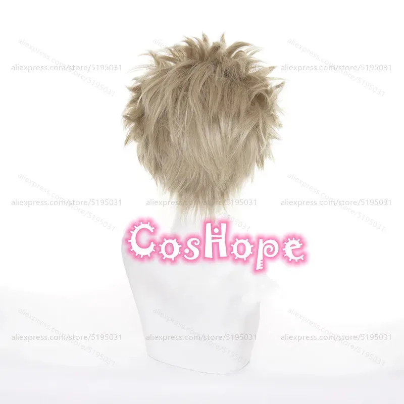 MHA Hawks Men Short Fluffy Gray Brown Wig Anime Cosplay Heat Resistant Synthetic Wigs