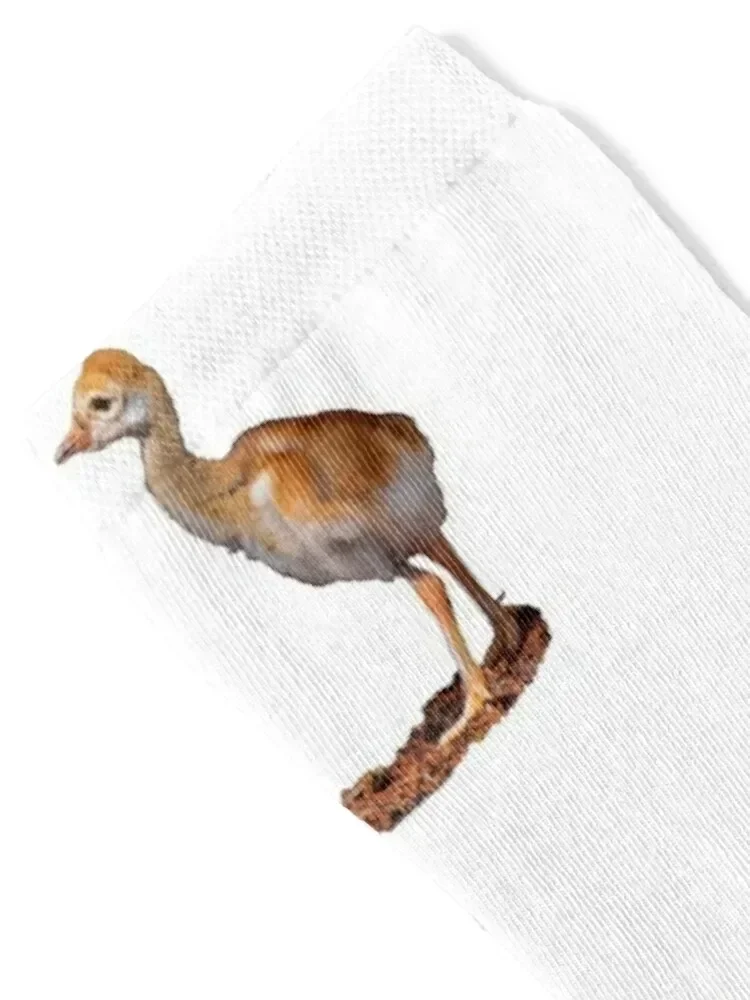 Who is bigger? Sandhill crane chicks Socks summer Run cool Socks Women Men's