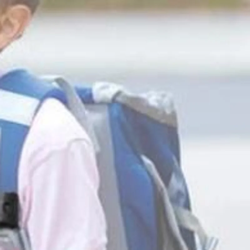 

Universal Child Chest Harness Clip Anti-Slip Baby Chest Clip Guard Compatible With Seats, Strollers, High Chairs, Schoolbags