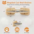 Cat wall stair ramp