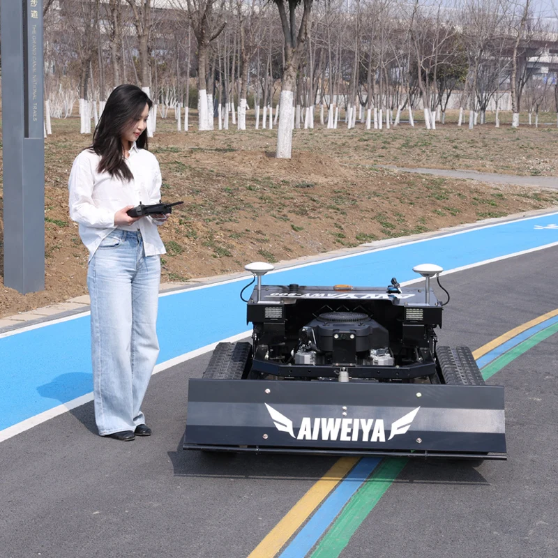 

Customized Tourist Area Mower for Resort Slope Grassland Arrangement Rail Transit Mower for Track Side Wild Plant Removal