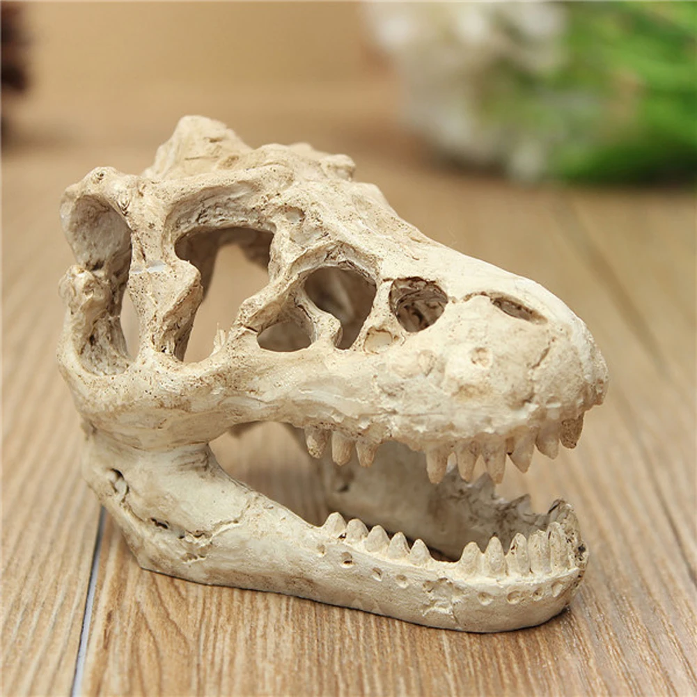 Resin Crocodile Skull Statue Simulation Mini Crocodile Head Decoration Decorative Props Crafts Arts for Aquarium Landscaping