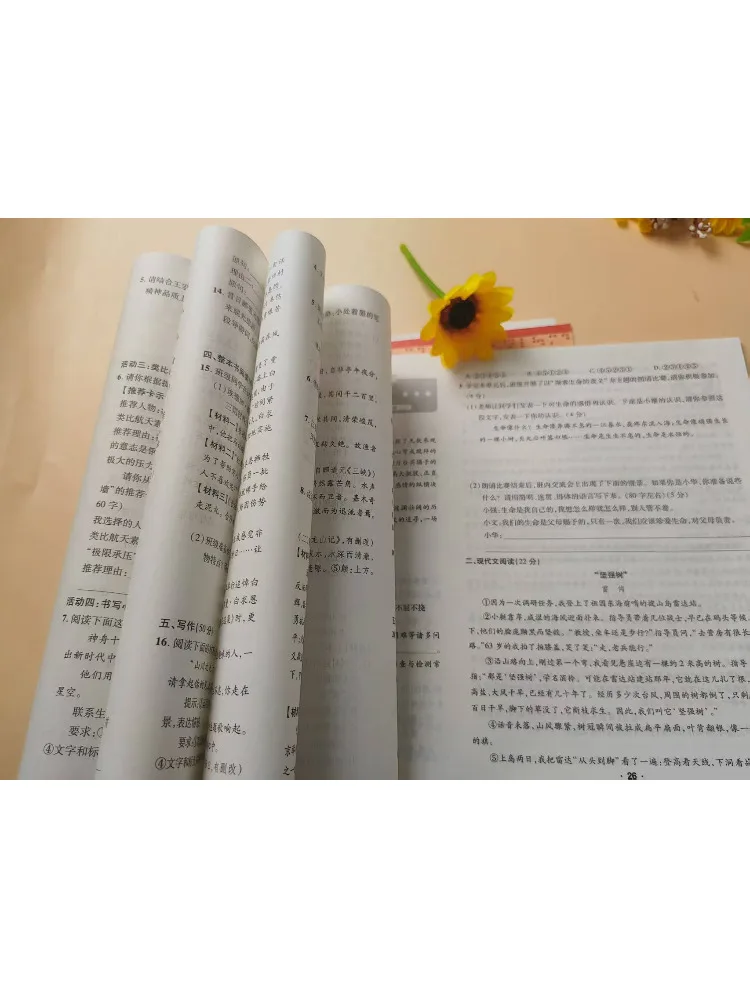 Book-Winshare All Excellent Sprint Mock Test Papers Chinese Grade 8 Volume 1