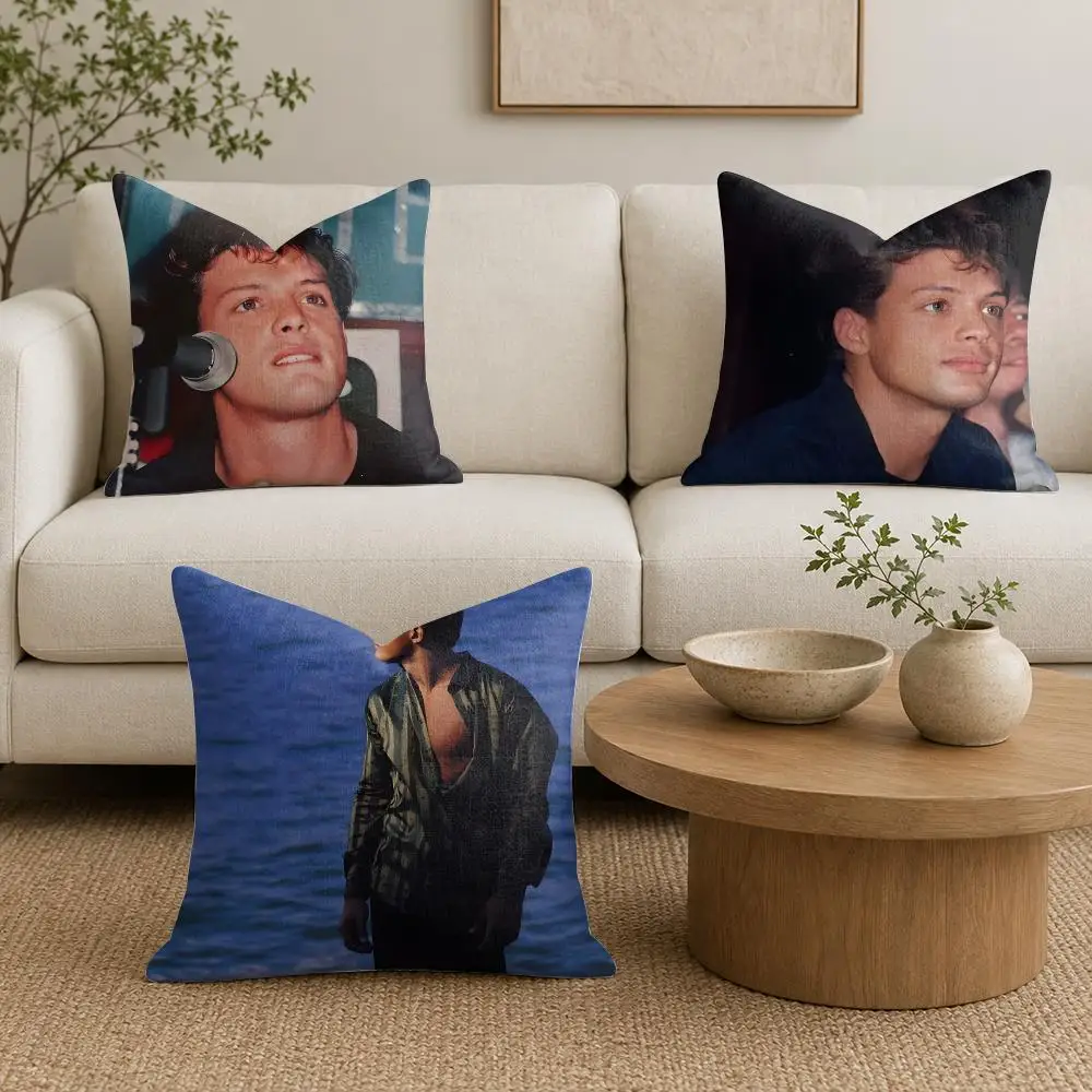 Popular Singer L-Luis Miguel Cushion Cover Organic Linen Square Pillow Case Durable Non-Allergenic And Kind To Skin