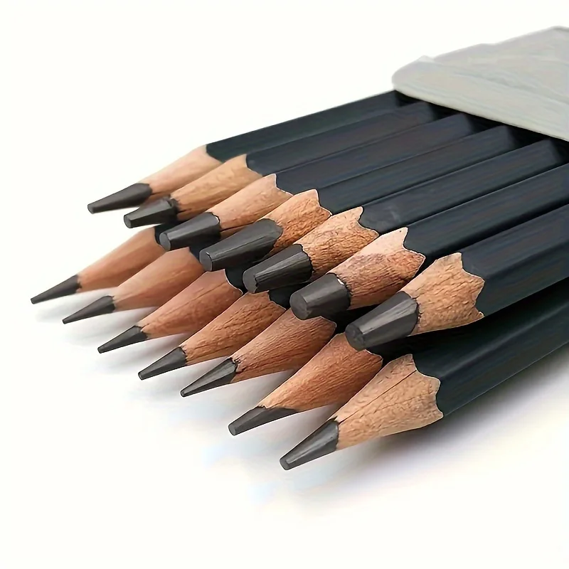 12 Pcs Premium Wood Sketching Pencils Set Professional Drawing 2H-8B Graphite Drawing Pencils for Artists School Art Supplies