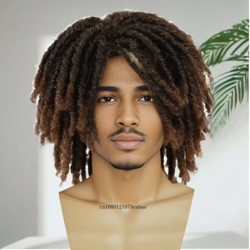 

Braided Wig Men Synthetic Hair Halloween Costume Cosplay Daily Wigs Curly Afro Hairstyles Disco Carnival Party DreadLock Wigs