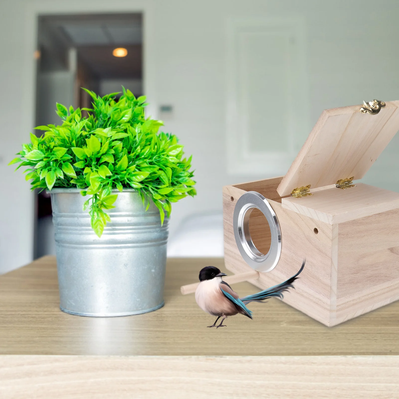 

Bird Nesting Holder Small Entrance Protects from Predators Perfect for Educational Gift Bird Nesting Holder