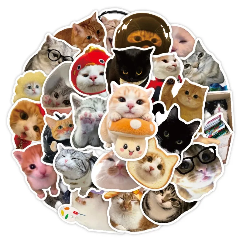 

50 шт./компл. INS милые наклейки с изображением кота, реалистичные забавные креативные дизайнерские наклейки с животными для ноутбука, телефона, комплект иллюстраций кошачьей наклейки
