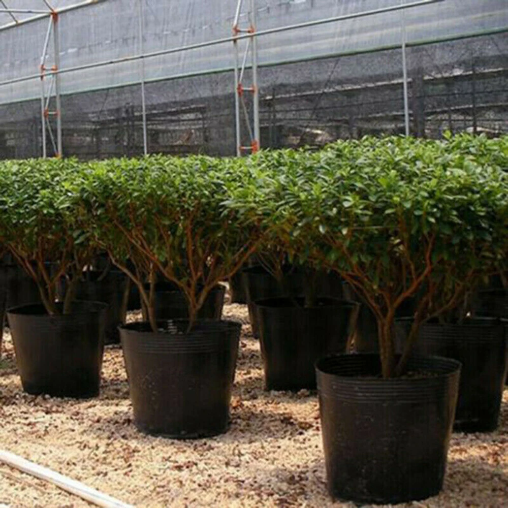 Plastic Plant Nursery Pots 100 Pack for Indoor Outdoor Use with Stable Drainage Base and Air Flow Design for Healthy Growth