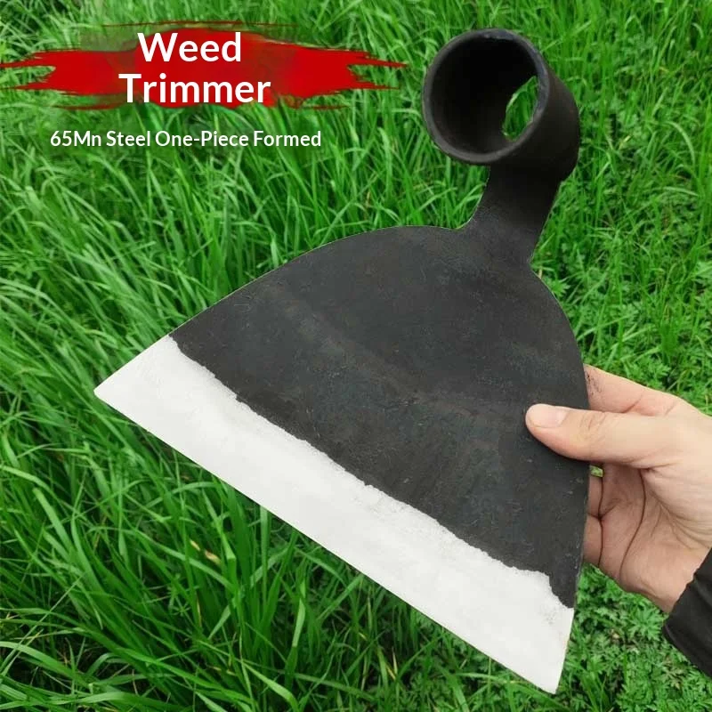 Thickened Integrate…