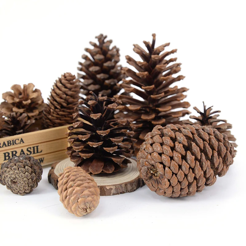 1-10Pcs Natural Pine Nuts Dried Artificial Pinecone Plants DIY Garland Wreath Scrapbooking Christmas Decorations For Home Decor