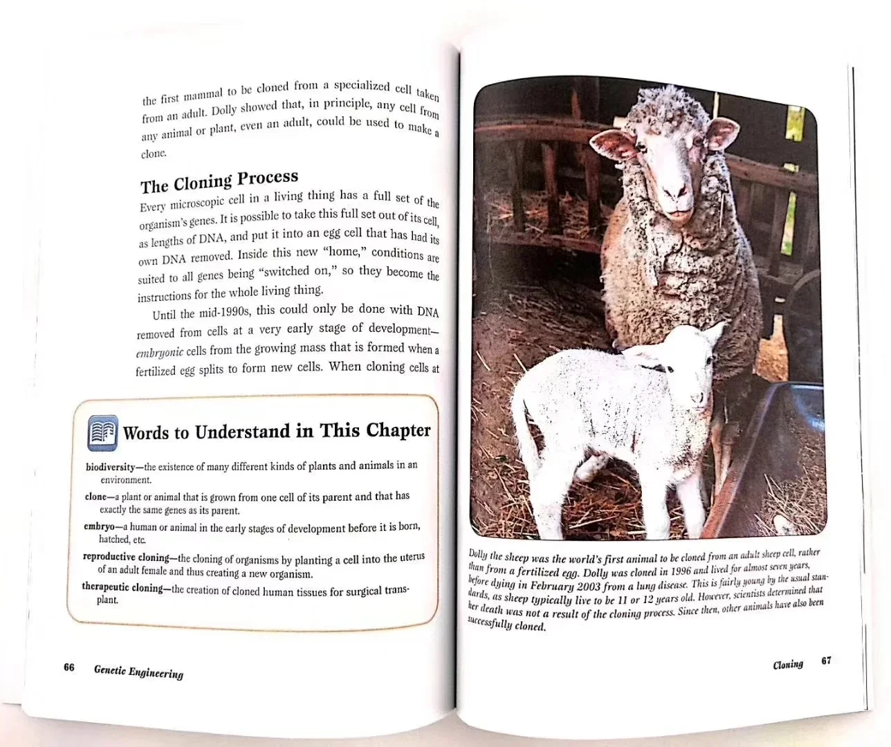 14 Books Critical World Issues Debate Phase 3 : Relevant To Young People's Libros Speculative Speech Academic Writing Ability