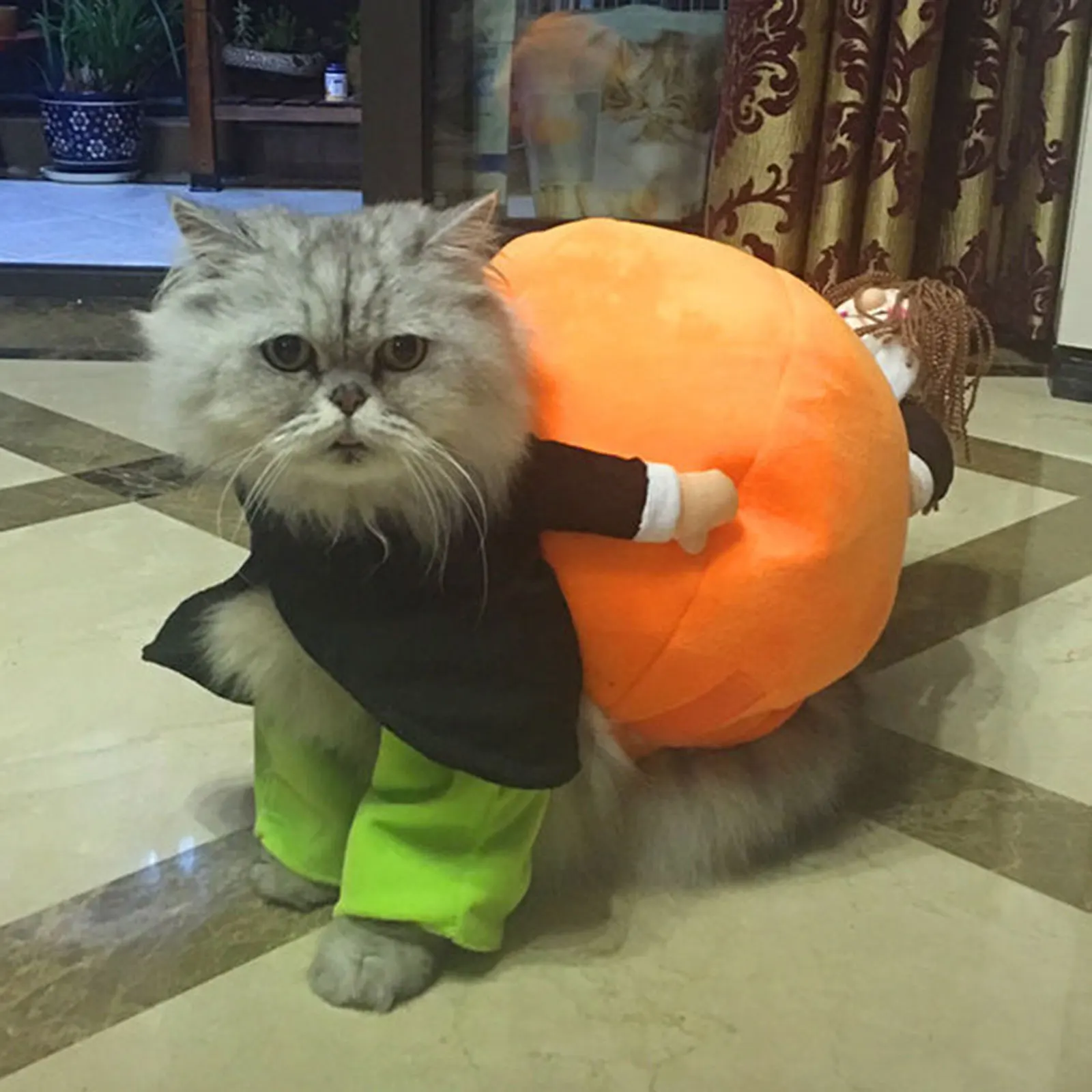 Halloween Pumpkin Funny Pet Clothes Pet Costume Cosplay Special Events Clothing Suit Dog Cute Pumpkin Costumes