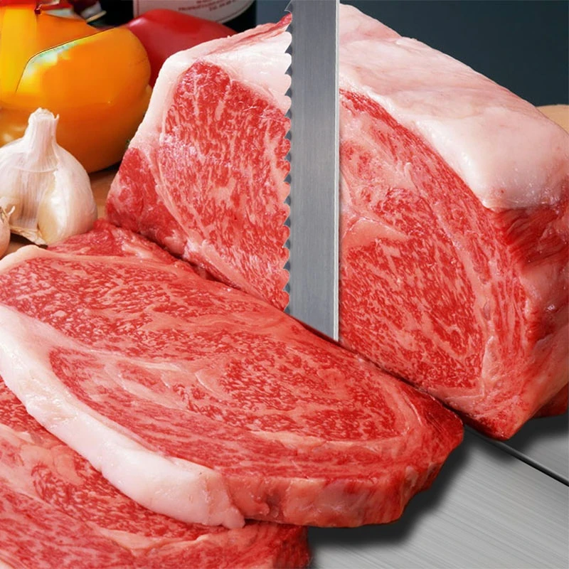 Lame de scie à bande pour Machine à scier les os, 2040x16x0.56mm, 4Tpi, pour couper les côtelettes d'agneau, de bœuf, de viande