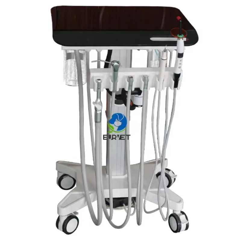 

Dental Machine Set for Dogs 304 Stainless Steel Veterinary Equipment