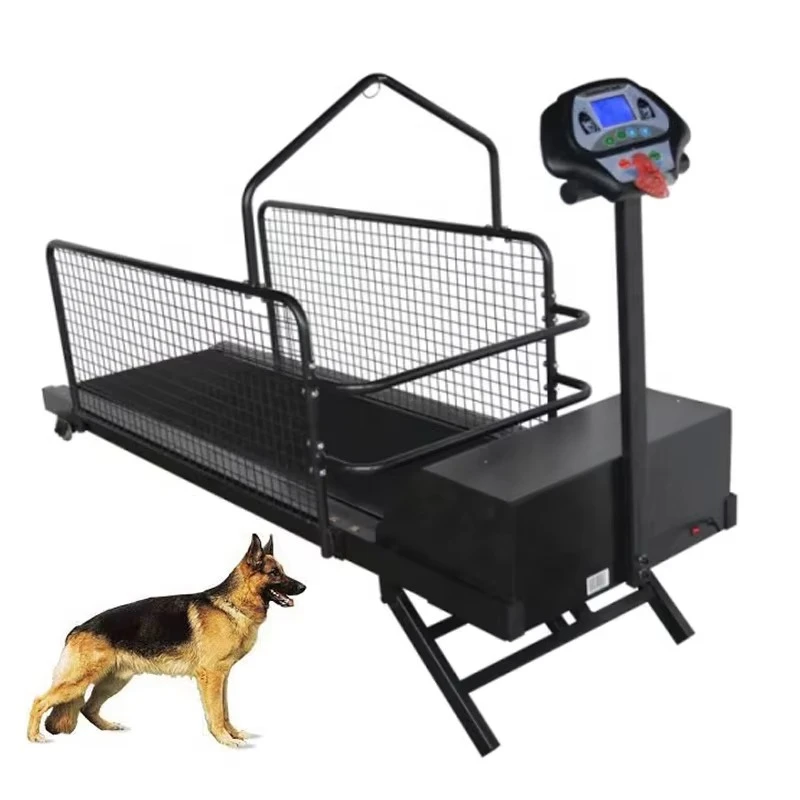 

Luxury Folding Home Use Dog Treadmill Running Machine Electric Dog Treadmill Walking Machine